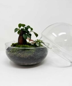 terrari1B