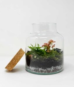 terrari3B