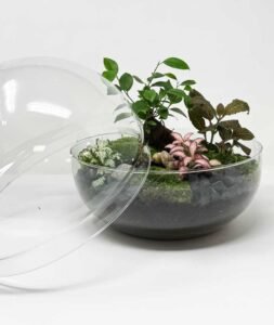 terrari4B