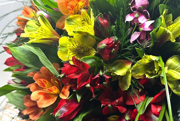 Ram gran d’astromèlies de diferents colors (talla L) dissenyat per Floristeria Zinnia, amb flors fresques i variades ideal per regalar o decorar