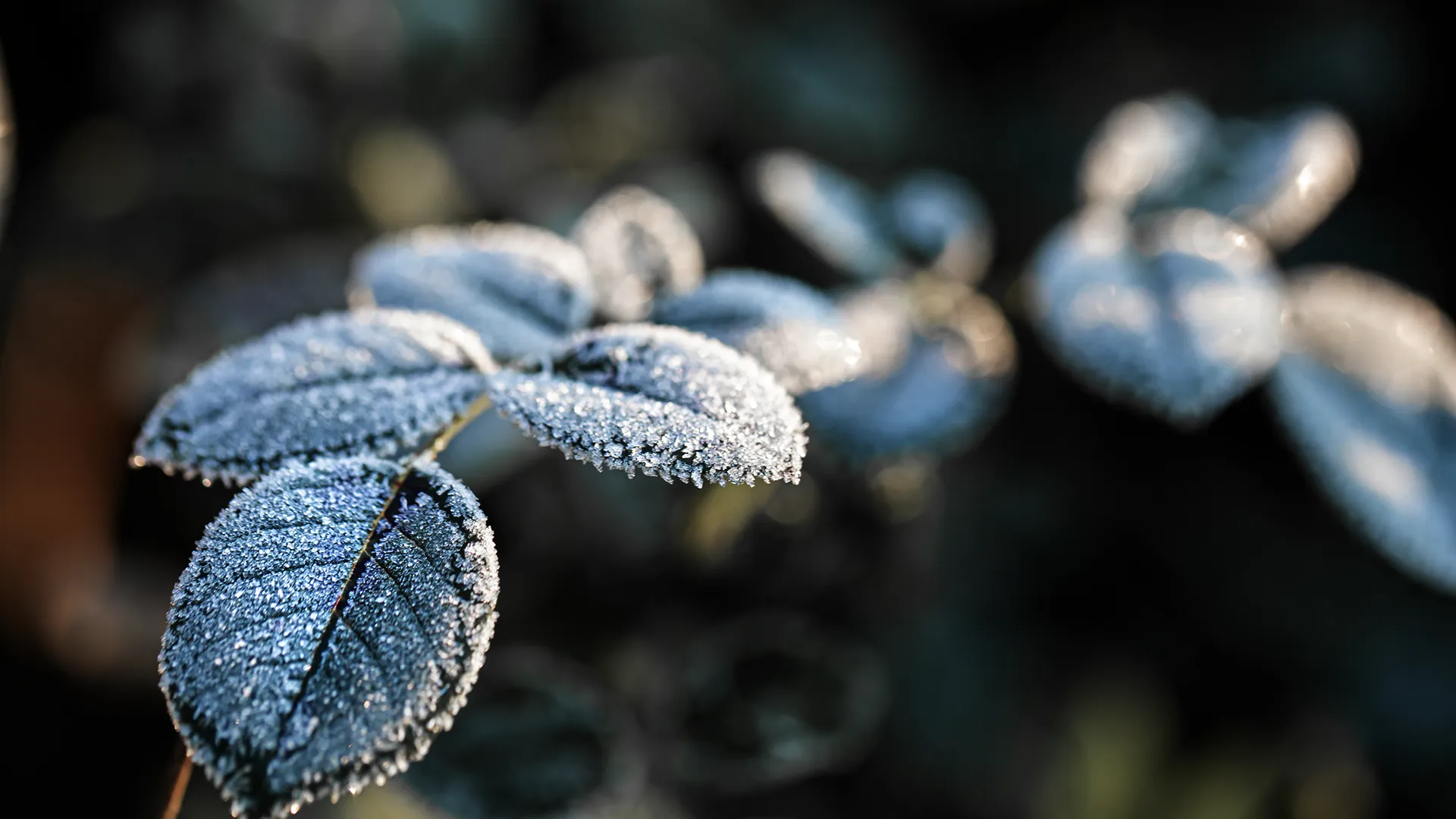 Imatge Control Lliscant