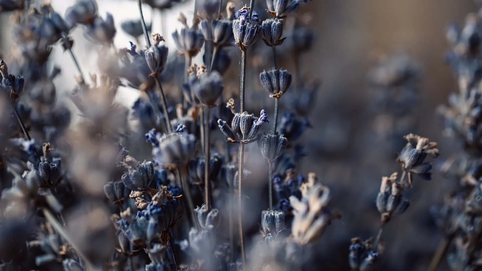 Imatge Control Lliscant